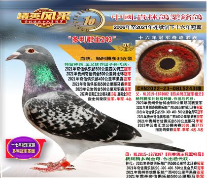 各地公棚信鸽信息网公棚(各地公棚信鸽信息网公棚DPS)